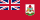 Bermuda Bro Videos